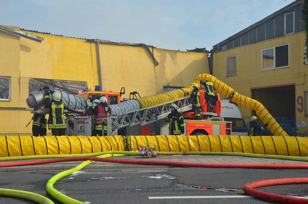 Grossfeuer Poco Lager Koeln Porz Gremberghoven Hansestr P663.JPG - Miklos Laubert